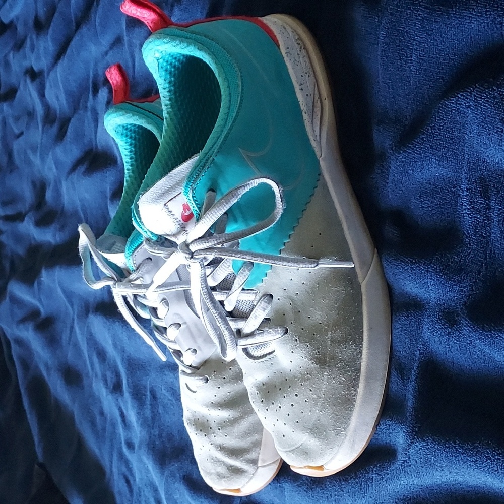 Nike Skateboard SB Project BA Collaboration